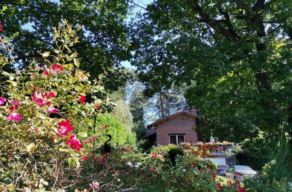 Tilff Bed & Breakfast | Les Sittelles - Tilff