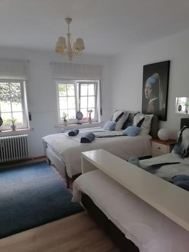 Libramont-Chevigny Apartment | Les studios du Domaine d'Eva