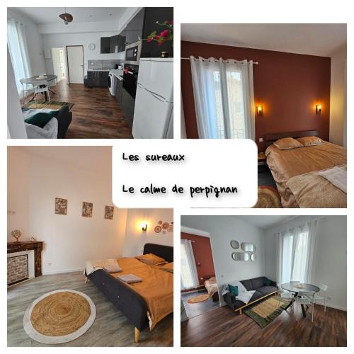 Saint-Mathieu Apartment | Les sureaux, le charme du centre de perpignan