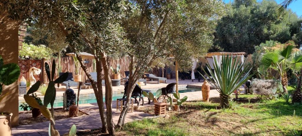 Taroudannt Bed & Breakfast | Les Trois Paons