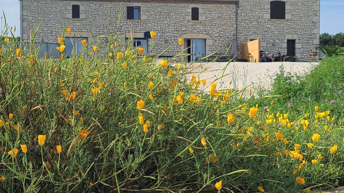 Saint-Jean-de-Duras House | Les Vacances en Lot-et-garonne