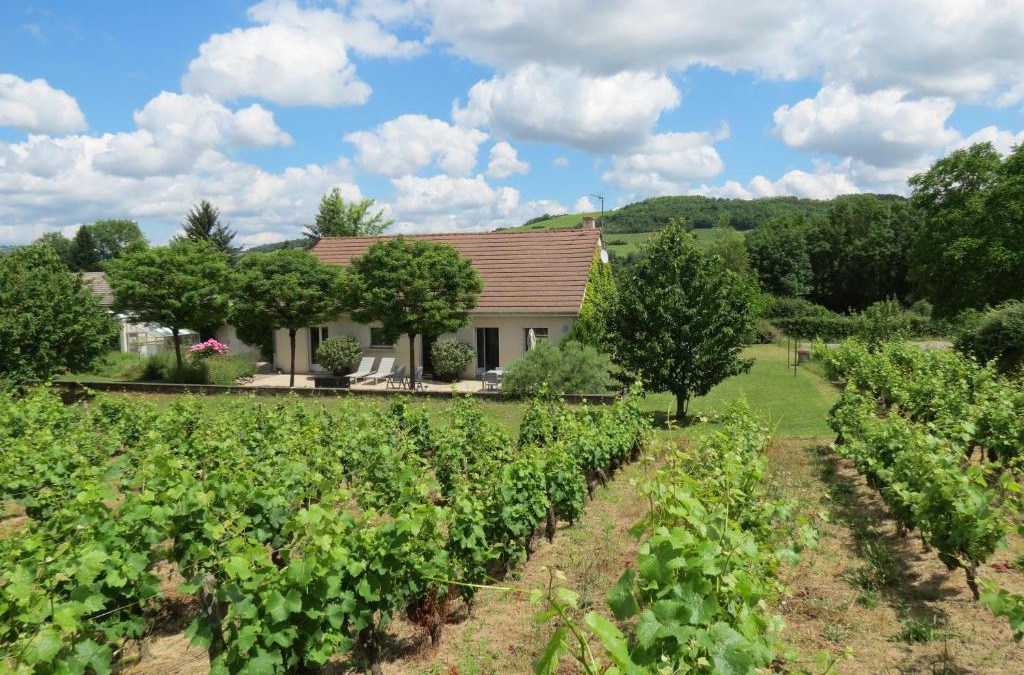 Paris-l'Hopital House | Les Vignes de Paris