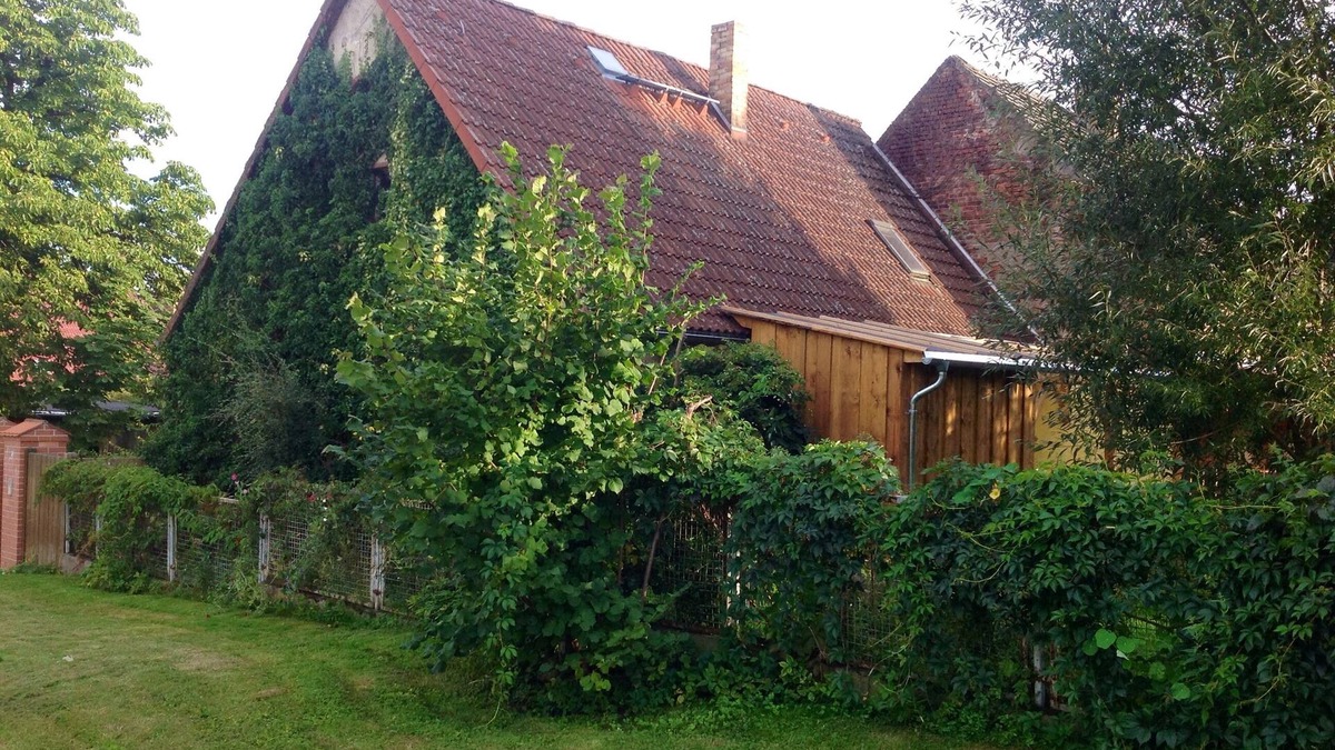 Mahlitzsch House | Let your soul dangle between the Elbe and Düben heath