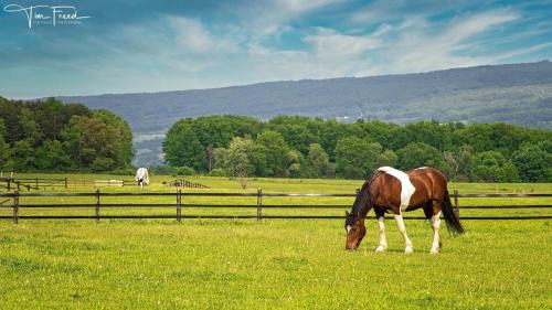 Portage House | Letchworth Farm Guesthouses