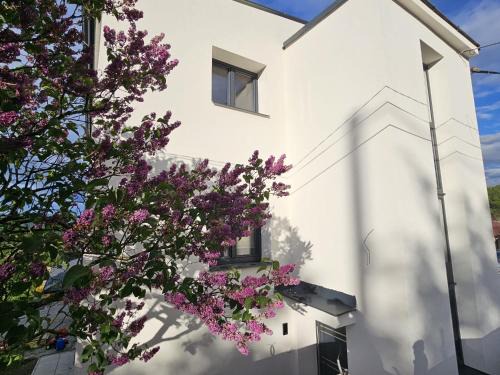 Kraliky Apartment | Levander