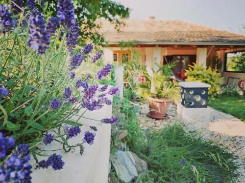Zalaszentgrot House | Levendula Vendèghàz