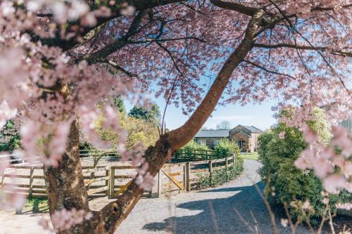Cambridge House | Lexington Park Cottages