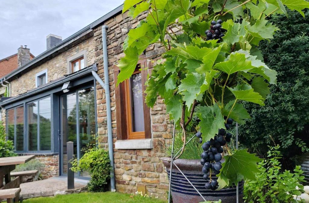 Manhay House | Li Pitite Magrite