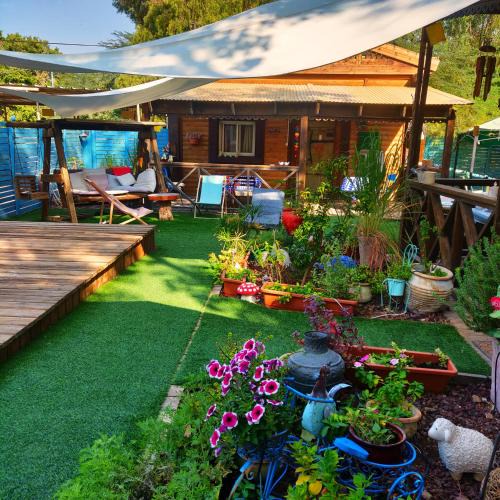 Neot HaKikar Cabin | Libi Bamidbar, Healing & Relaxation Resort in The Dead Sea