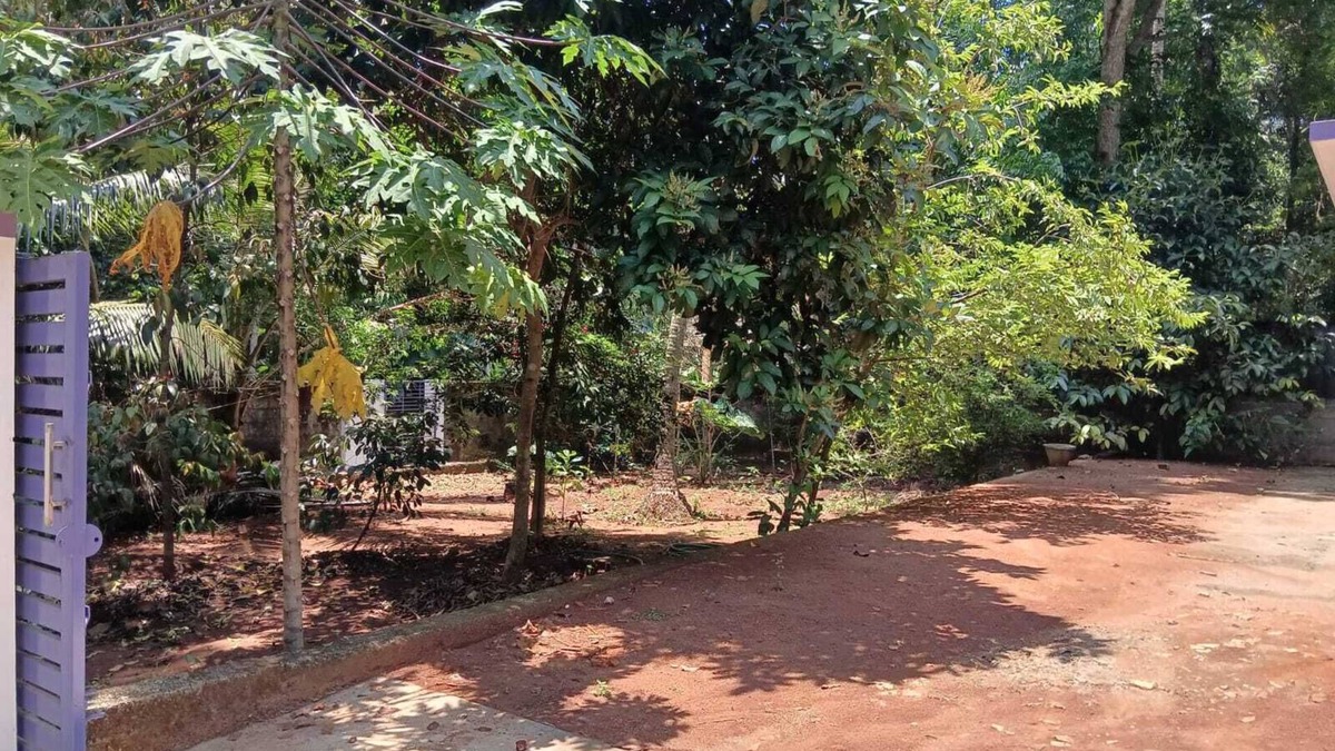 Poovar Villa | LICENCE TO CHILL HOMESTAY VILLA