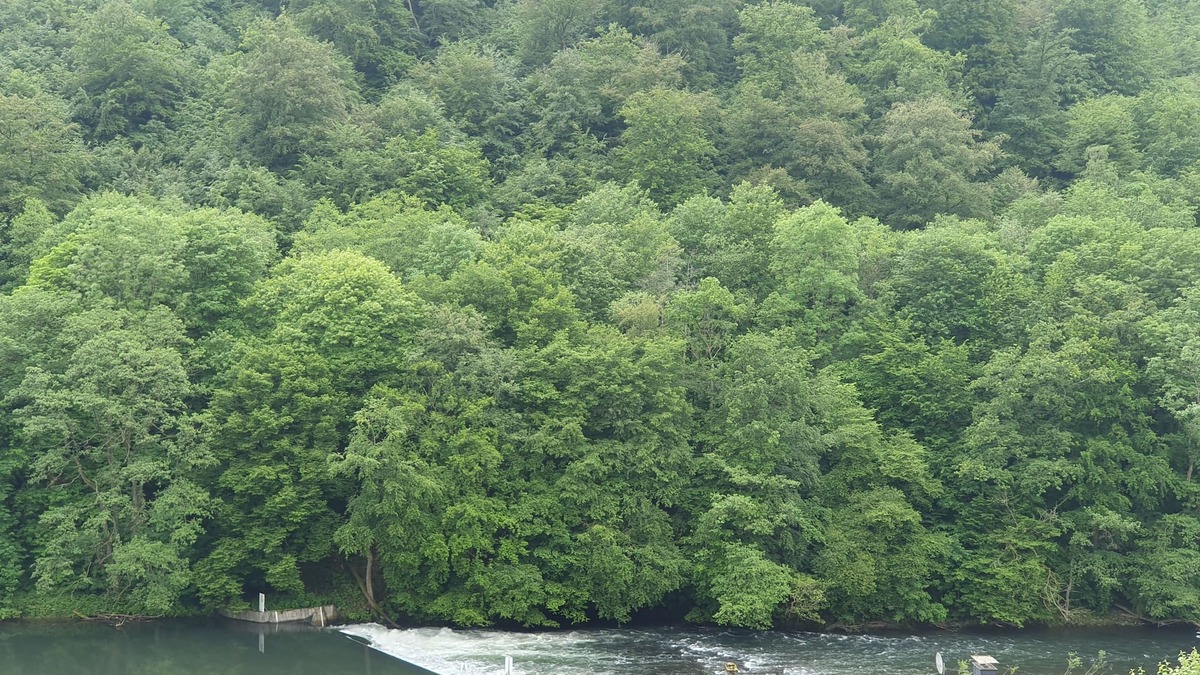 Altena House | Liebevoll Eingerichtete Ferienwohnung am Fluss in Beliebtem Wandergebiet