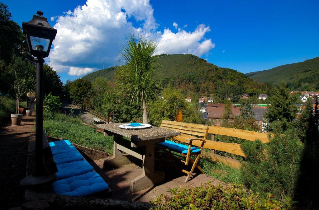 Lambrecht Apartment | LIEBLINGSPLATZ im Pfälzer Wald