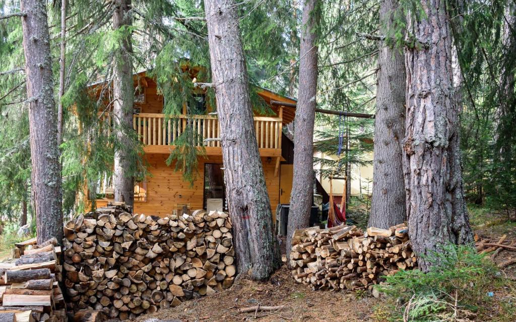 Semkovo Cabin | Life House-Semkovo
