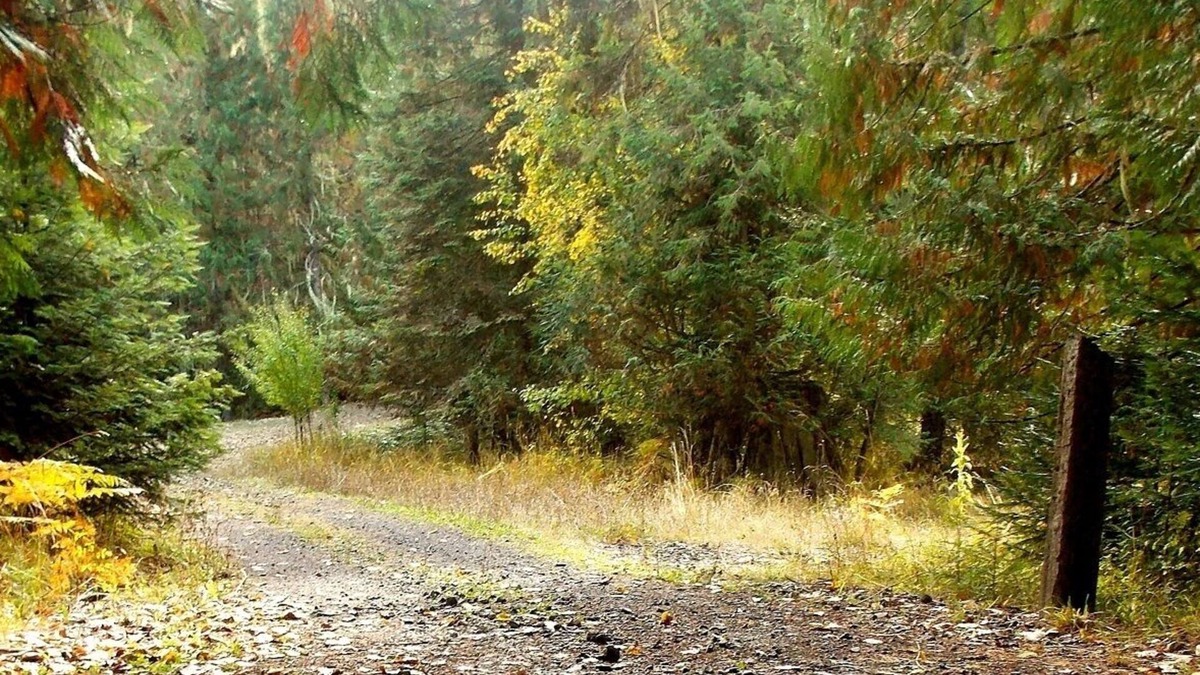 Kooskia House | Lifewater Ranch - A Place Of Rest And Healing. Fishing, Hiking, Spa, Pool