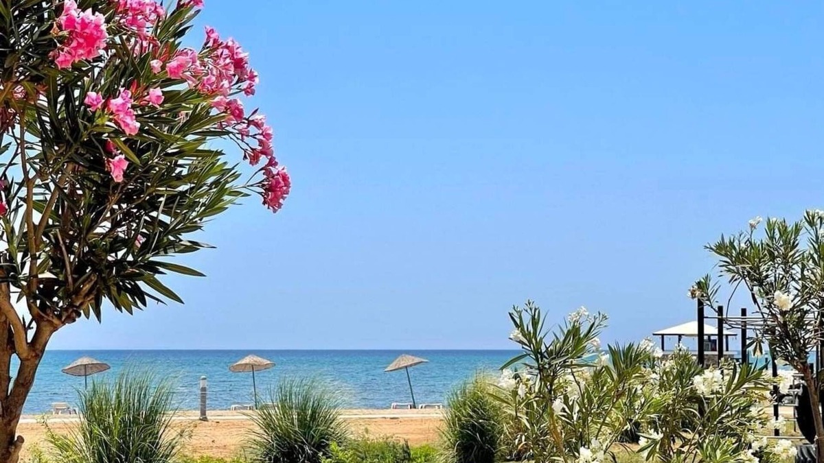Bafra Apartment | Lightness Apartment by the Sea