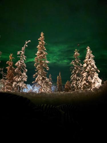 Posio Resort | Lights of Lapland Resort