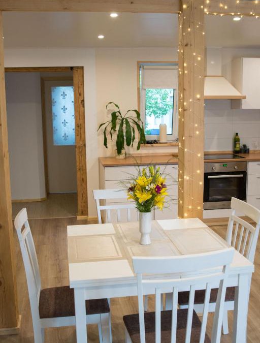 Parnu Apartment | LiisuPesa Apartment with Sauna and Garden