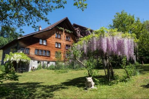 Neckertal Bed & Breakfast | LilaLila Lodge