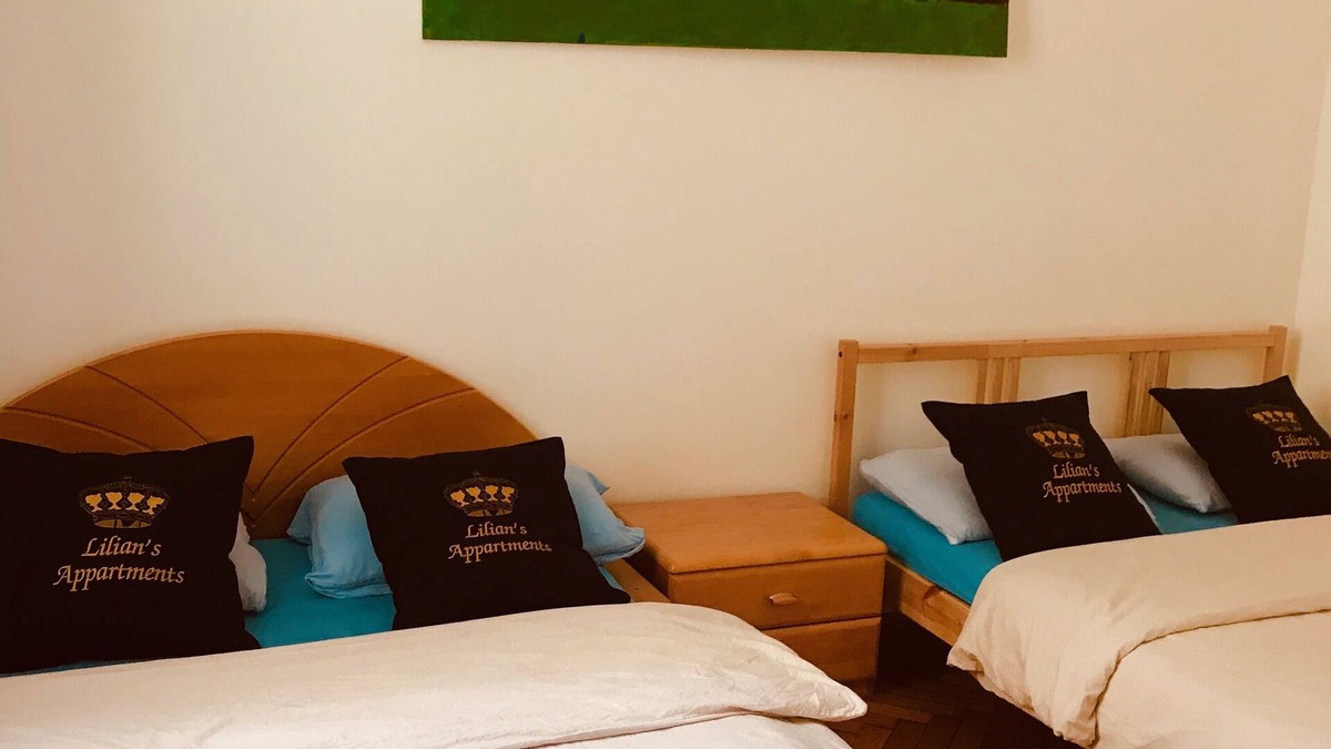 Graz City Centre Apartment | Lilians modern apartment in historical city center