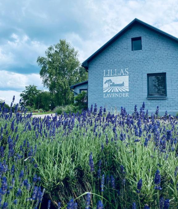 Saldus House | LillasLavender Kurzeme