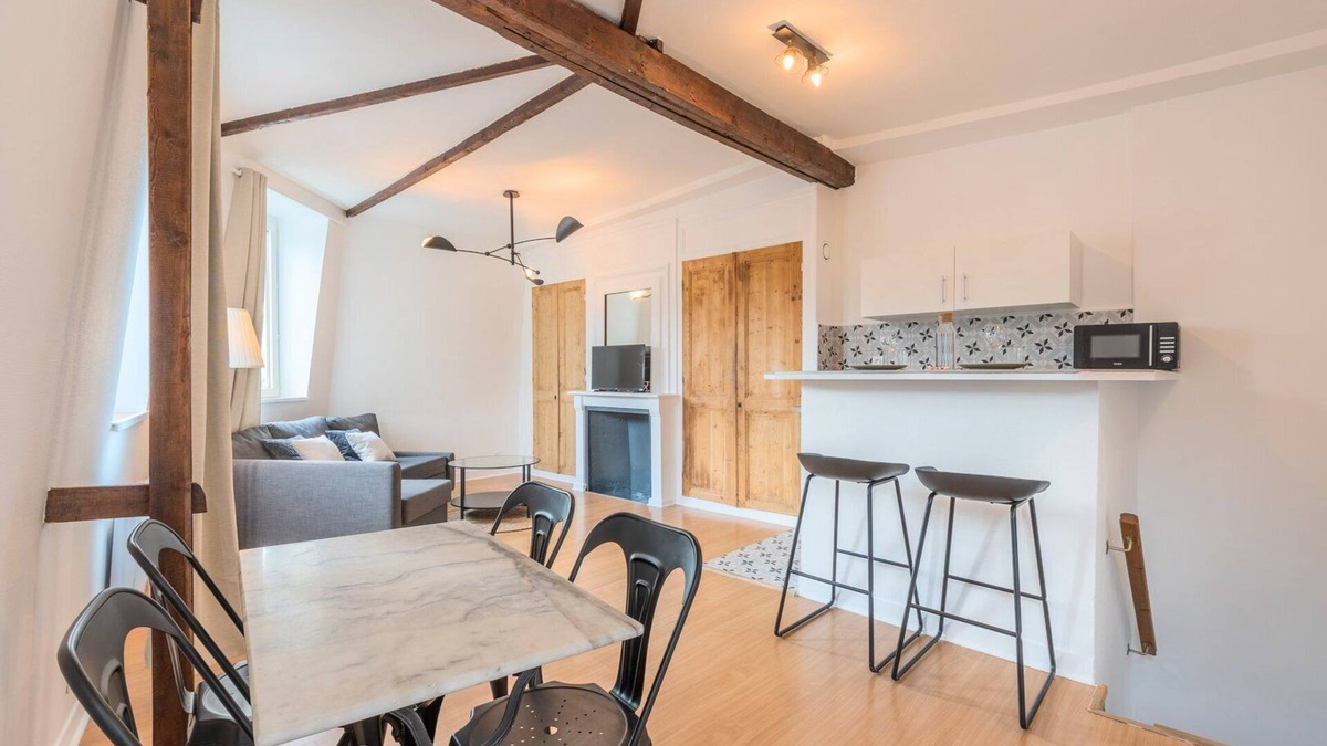 Saint-Maurice Pellevoisin Apartment | Lille : 7 minutes from the train stations!