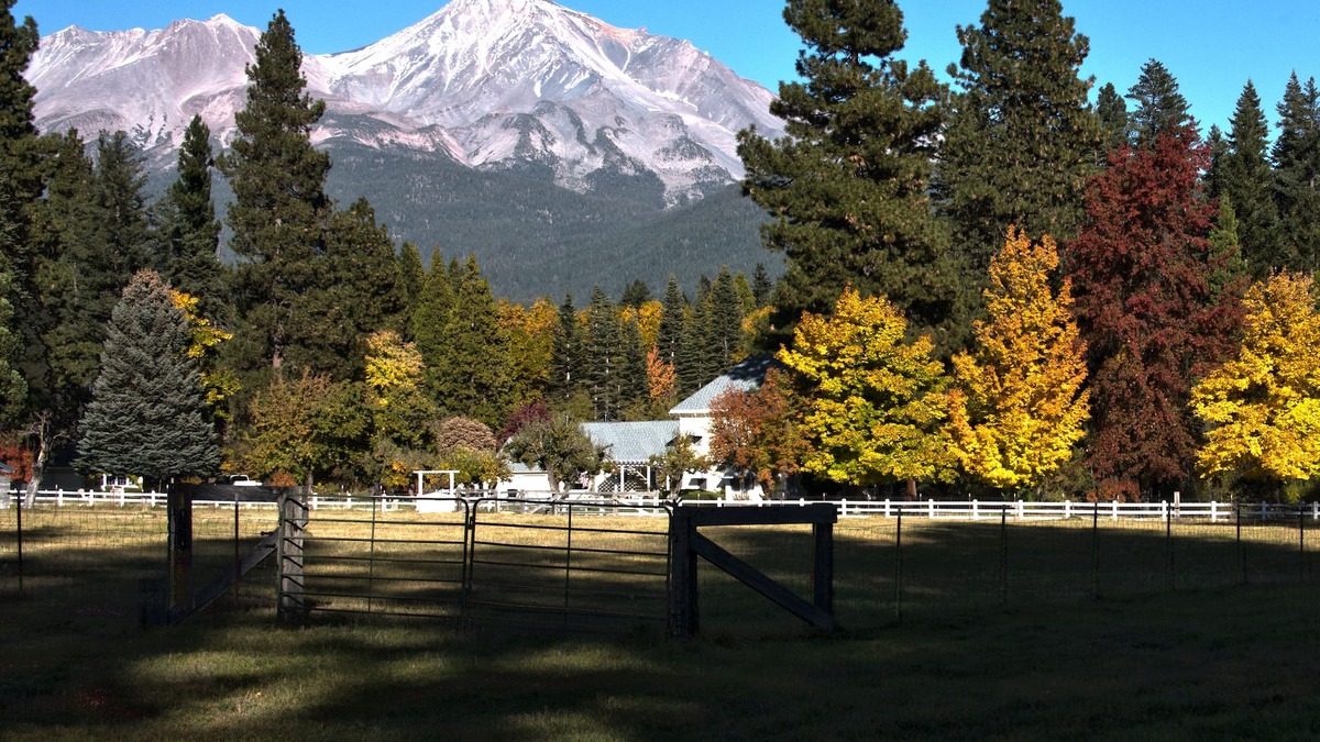 Mount Shasta Apartment | Lilly's Loft at Spring Creek Ranch