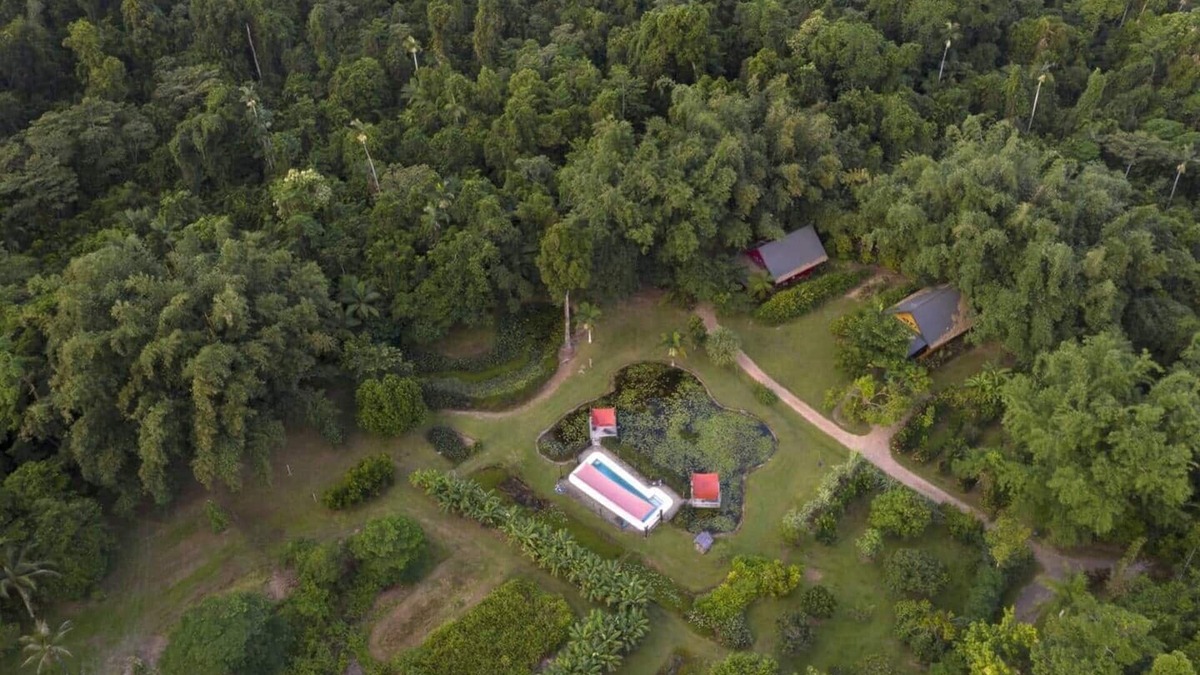Mission Beach House | Lillypads Yellow Cottage - Rainforest Getaway