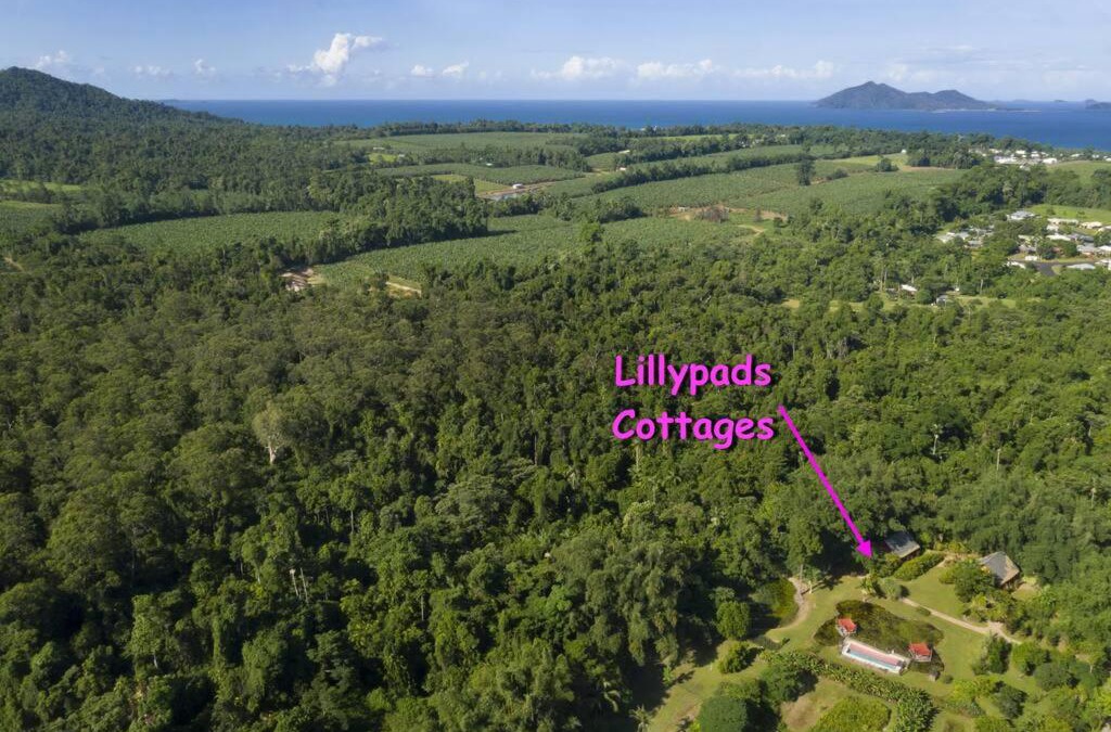 Mission Beach House | Lillypads Yellow Cottage - Rainforest Getaway