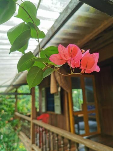 Dak Mil House | Lily's Stone Garden Farmstay