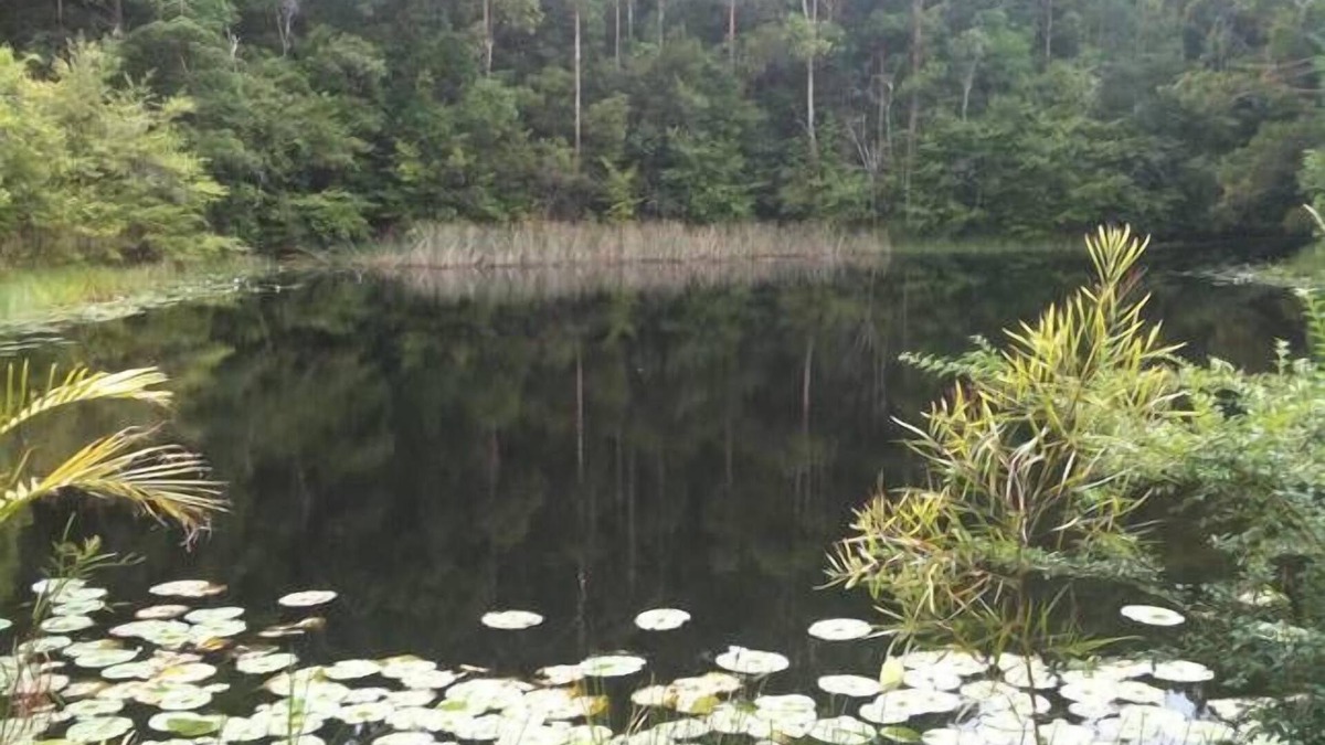 Stewarts River House | Lilypad Lodge in Stewarts River