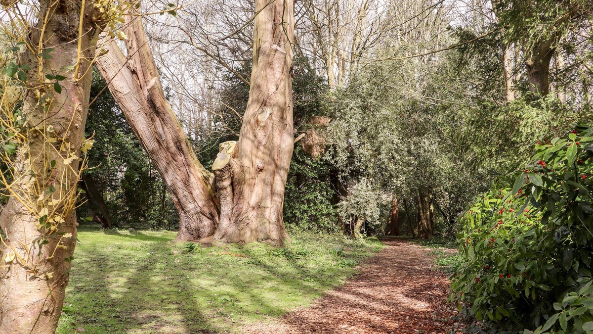 Pevensey Cottage | Lilyrose Cottage
