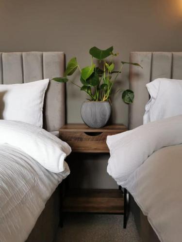 Clydebank Apartment | Limekilns House
