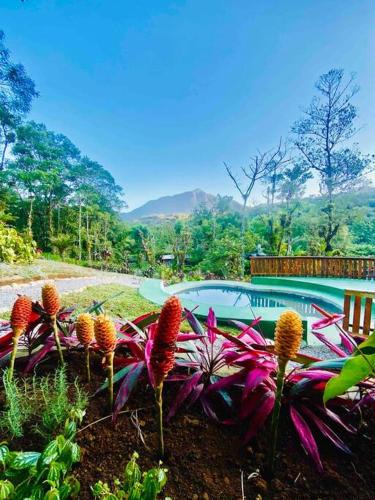 Morretes House | Linda Casa com piscina exclusiva e vista para a Serra do Mar