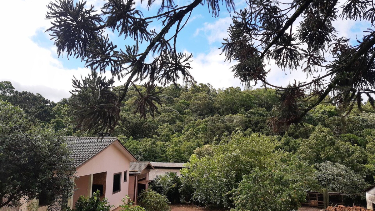 Chopinzinho Other | Linda Casa de Campo com Lago Para Pesca, Mesa de Sinuca e Área Para Acampamento