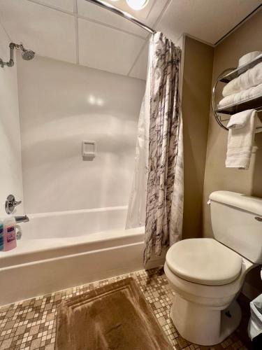 Cedar Falls Apartment | Lindell Motor Lodge - Downtown Cedar Falls Studio With Free Gated Parking!
