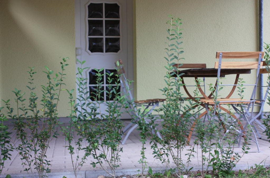 Blankenhain Apartment | Lindenstube