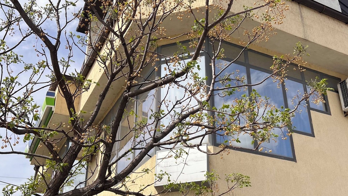 Prizren Hotel | Lindi Premium Hotel