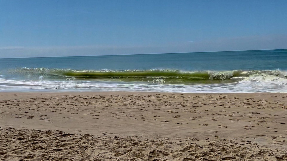 Barra Velha Apartment | Lindo apto com vista à 200m da Praia de Itajubá-SC