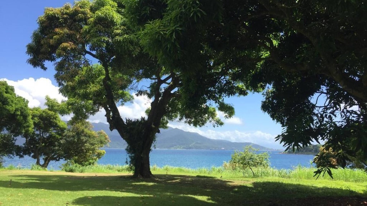 Agua Branca Apartment | Lindo Quarto Duplo em Ilhabela
