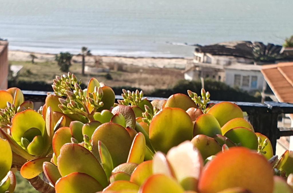 Gela Bed & Breakfast | Lindos