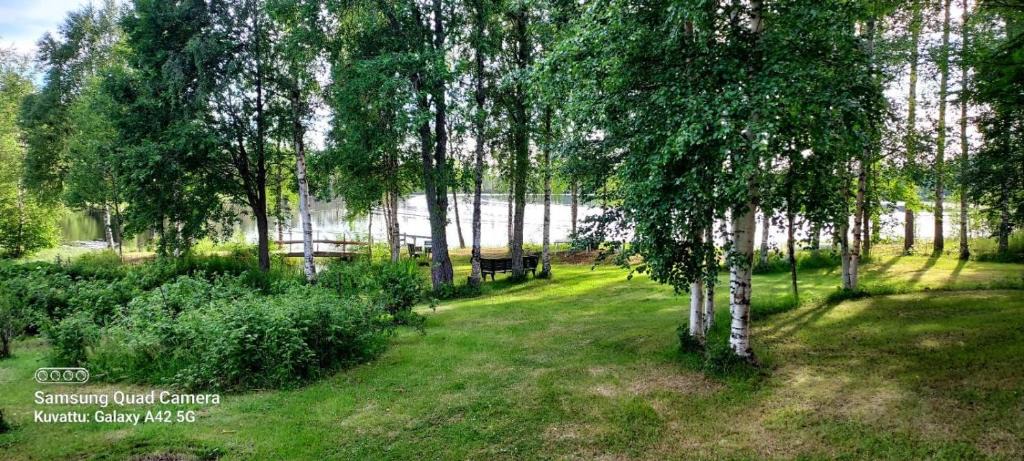 Ylikiiminki Villa | Lintukoto