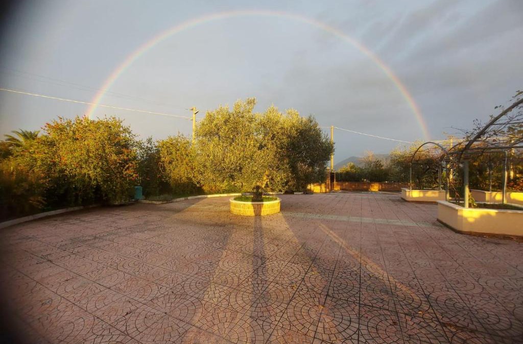 Castel Campagnano Apartment | Lisandro Wine Resort Apartments Caserta