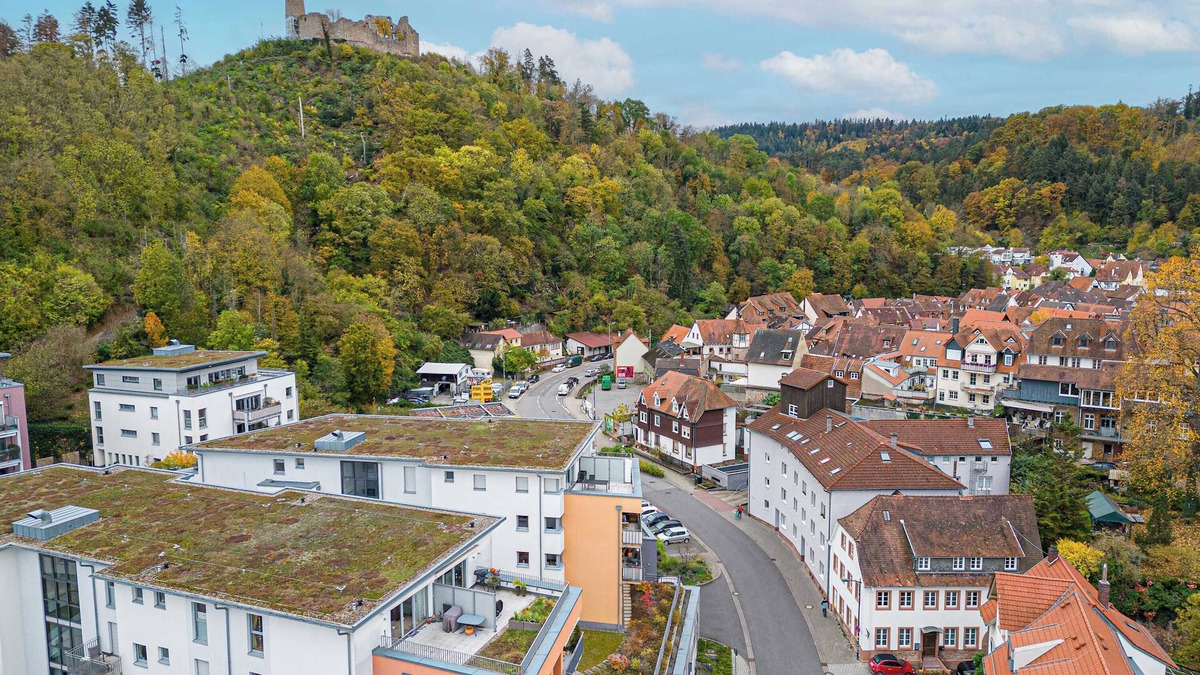 Weinheim Apartment | LiT LiVING: Luxus | Box SprIng | WH Altstadt |