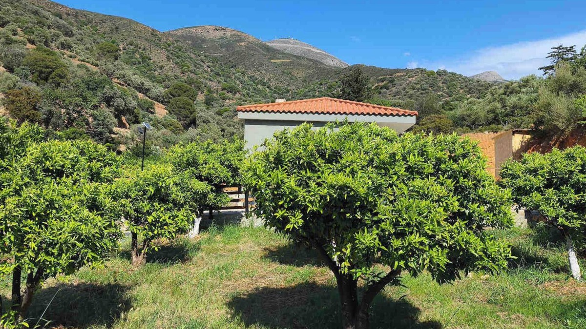 Fodele Villa | Litinos Villa Mary