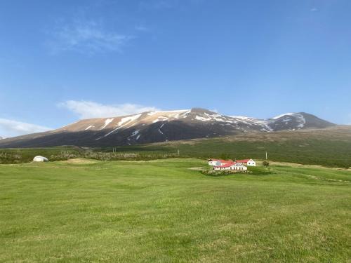 Egilsstadir Bed & Breakfast | Litla-Sandfell Guesthouse