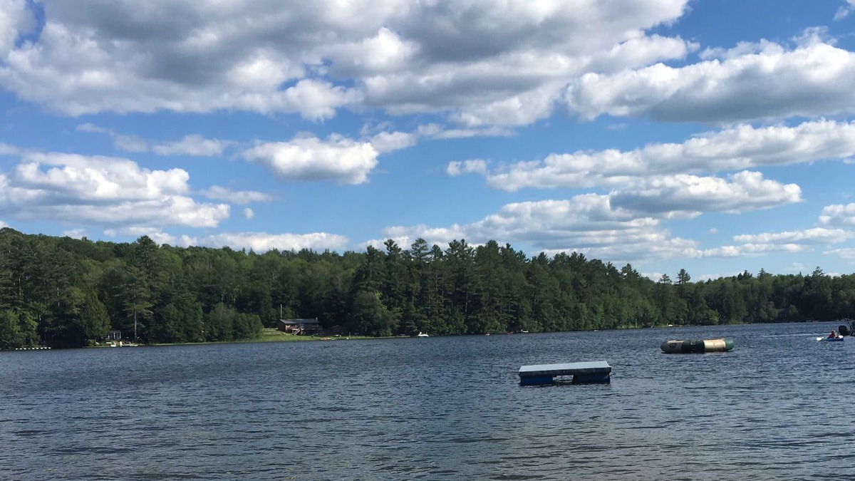 Croydon House | Little Cabin Retreat Waterfront Access/Dog Welcome