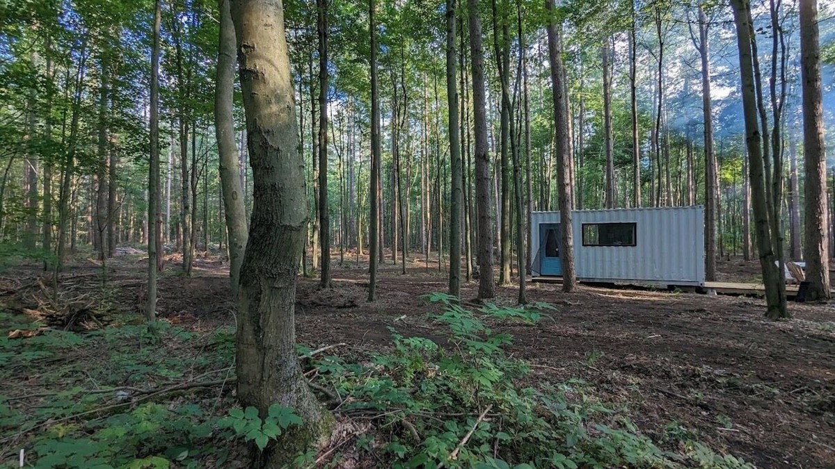 Langton Cabin | Little Can in the Pines - Bunkie No. 2