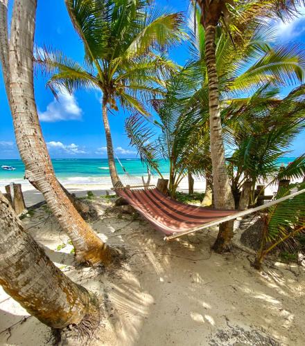 Little Corn Island Hotel | Little Corn Island Beach and Bungalow