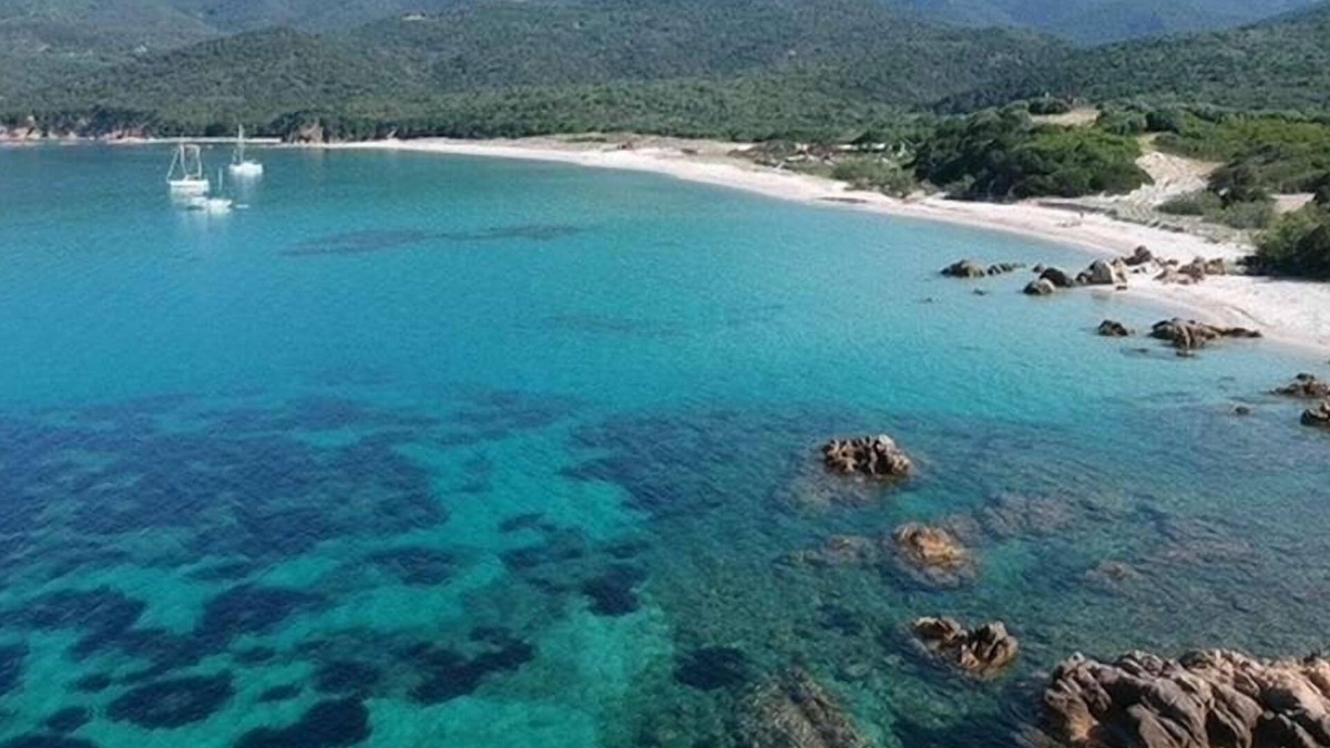 Serra-di-Ferro Apartment | Little Corsica paradise 10 minutes from the beaches