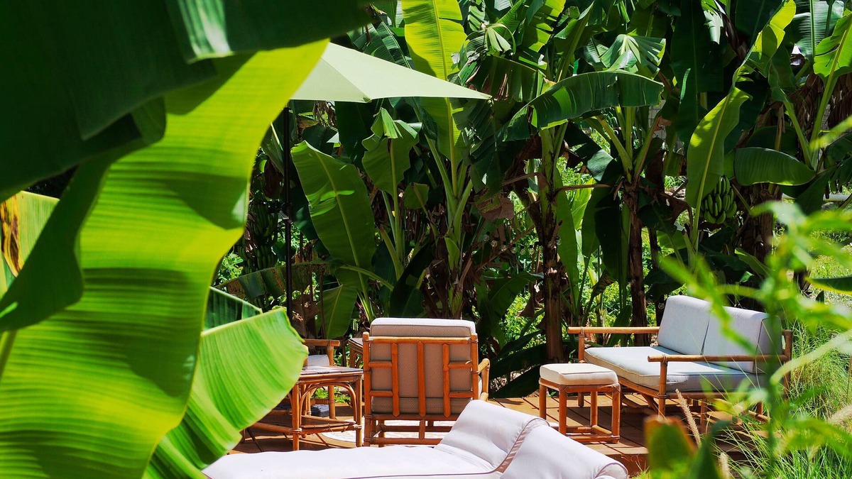 Hill Crest Villa | Little Diamond Jungle Home, Panoramic Ocean Views, 2 Verandas &Tropical Garden